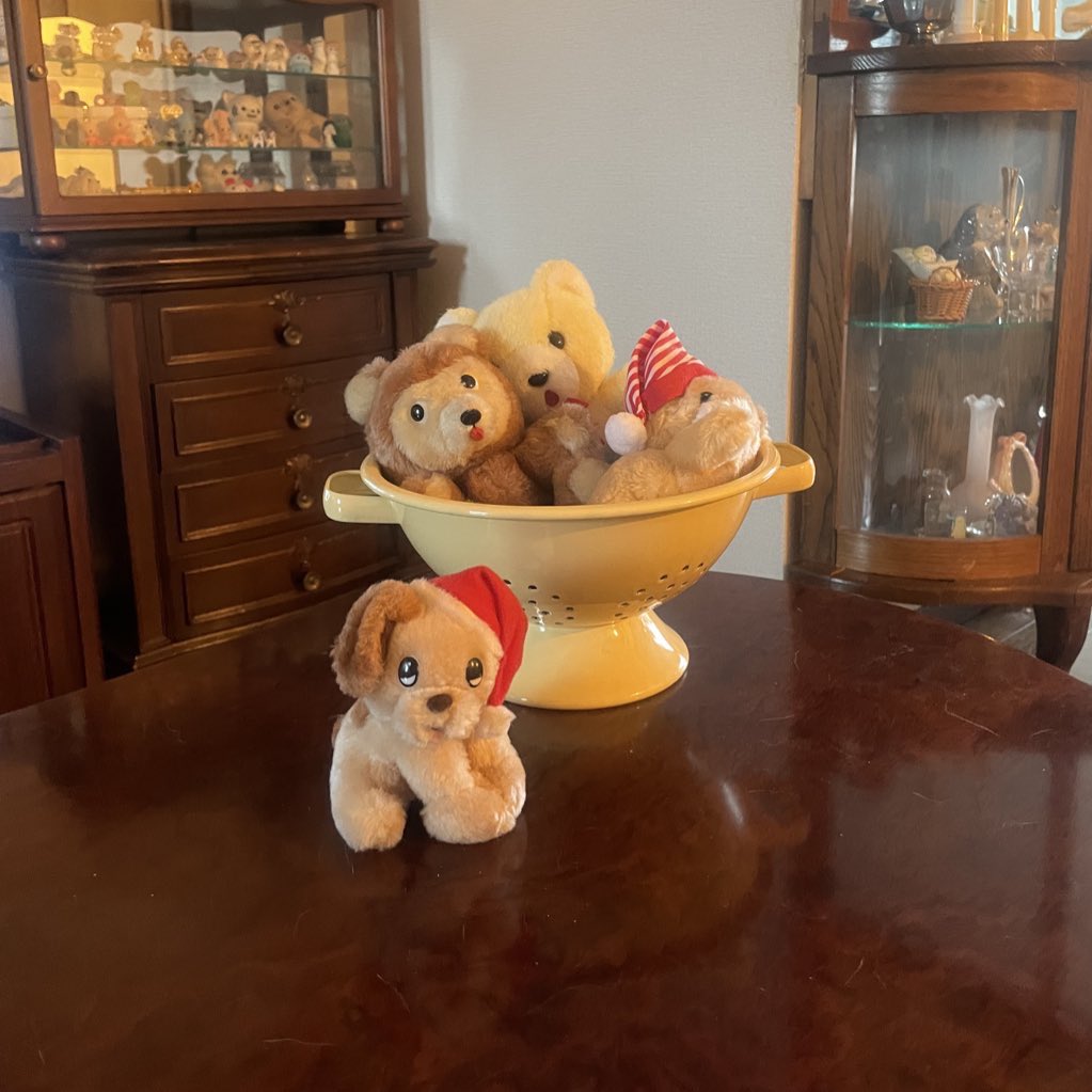 りこ (@_marutaebi_) on Twitter photo 