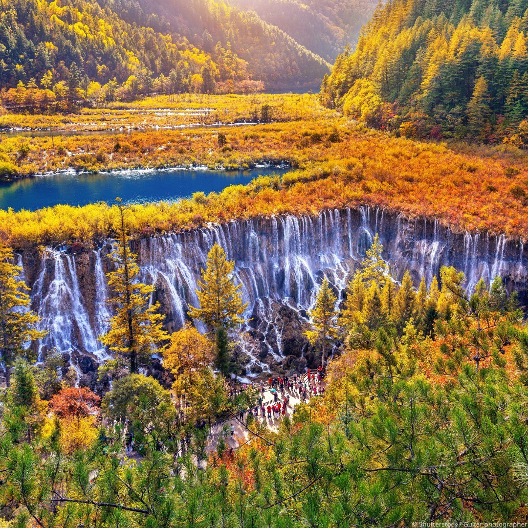 This #TravelTuesday, we’re in Jiuzhaigou Valley, China 🇨🇳 — a place of clear lakes and ancient forests. 💧🌲

Home to rare wildlife and incredible landscapes, this #WorldHeritage site is protected for future generations. Learn more: whc.unesco.org/en/list/637