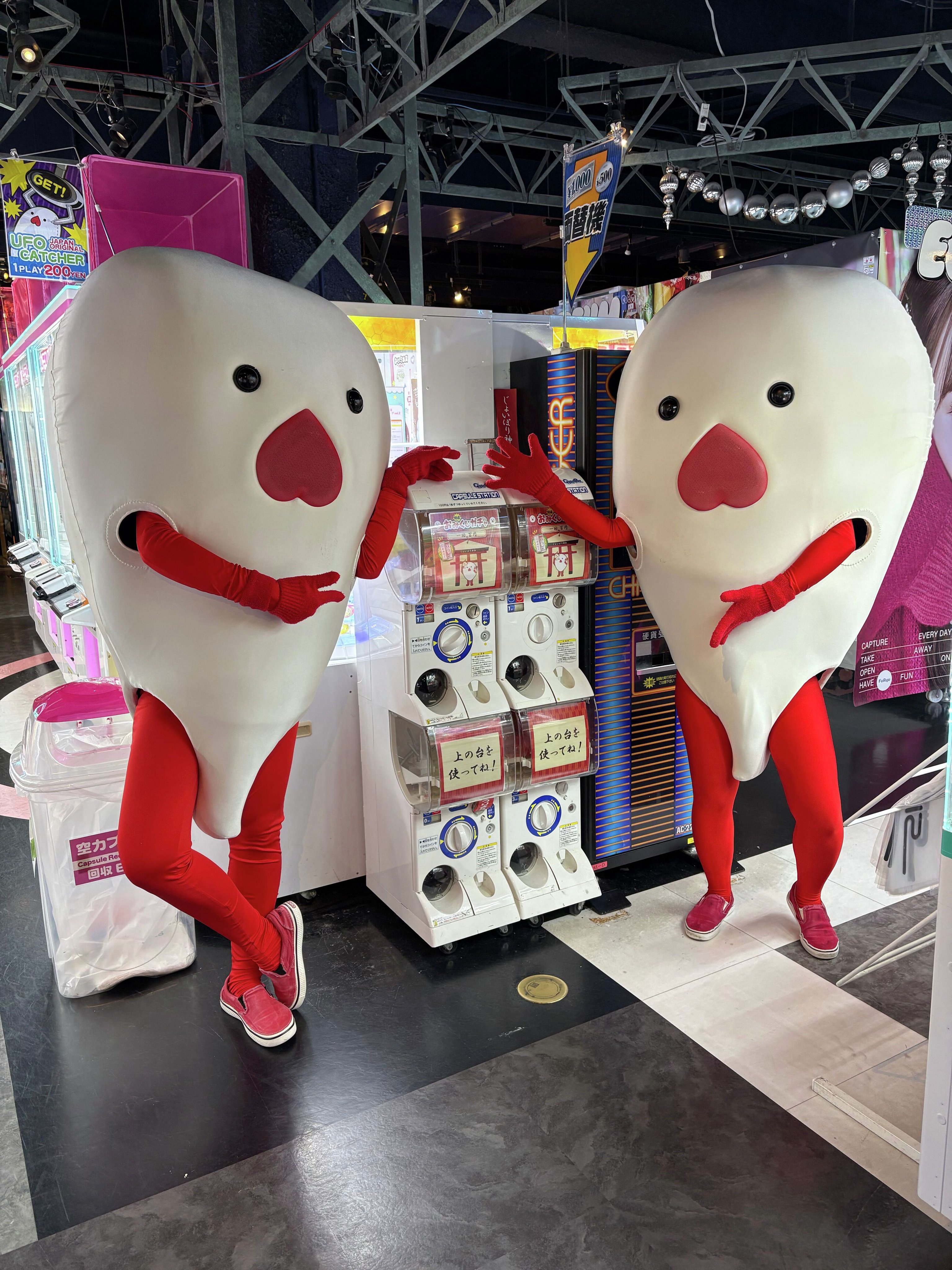 即日発送】NEWS TOYBOX ジョイポリス トートバッグ＆パスケース