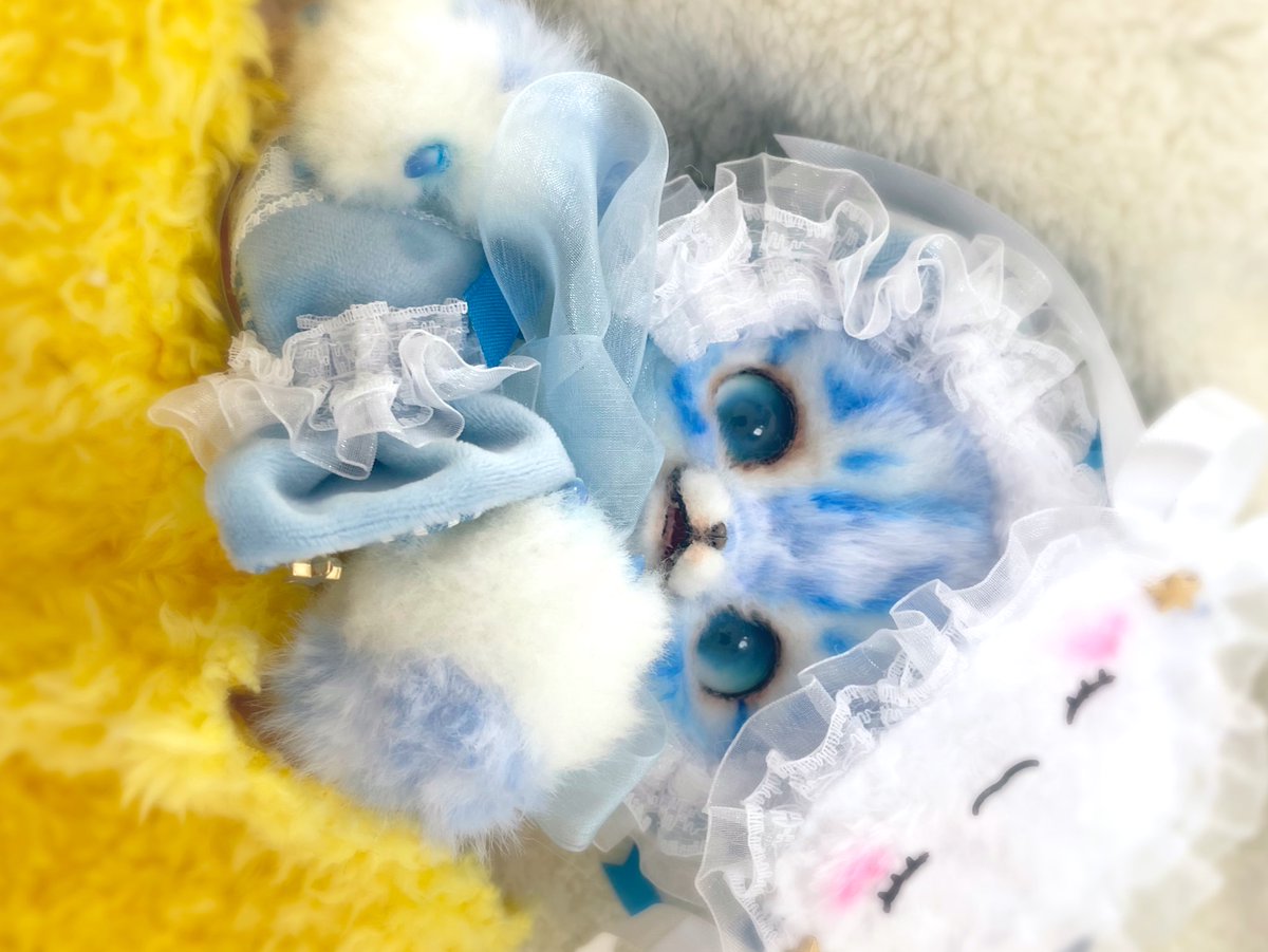 本日のふあ〜( ฅ́0`*)zz…

今日8/26夜9時頃まで.｡.:*☆auctions.yahoo.co.jp/jp/auction/k11… #Linoa #アートドール #ねむねむ氷豹　 #ハンドメイド #ぬいぐるみ　#豹　#doll #leopard #水色