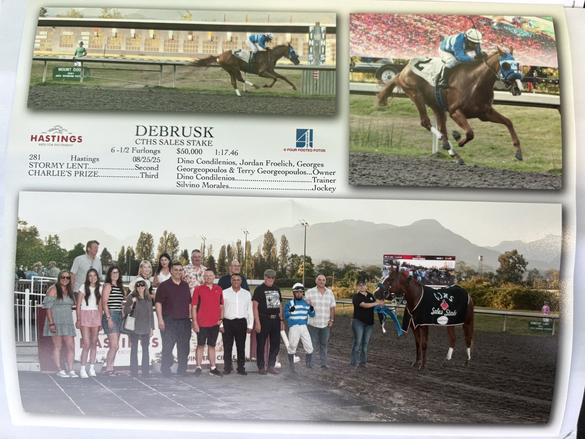 Terry G (@terryg32) on Twitter photo Our two year old won the CTHS Sales Stakes today at <a href="/hastingsraces/">Hastings Racecourse</a> #Debrusk #horseracing Our two year old won the CTHS Sales Stakes today at <a href="/hastingsraces/">Hastings Racecourse</a> #Debrusk #horseracing
