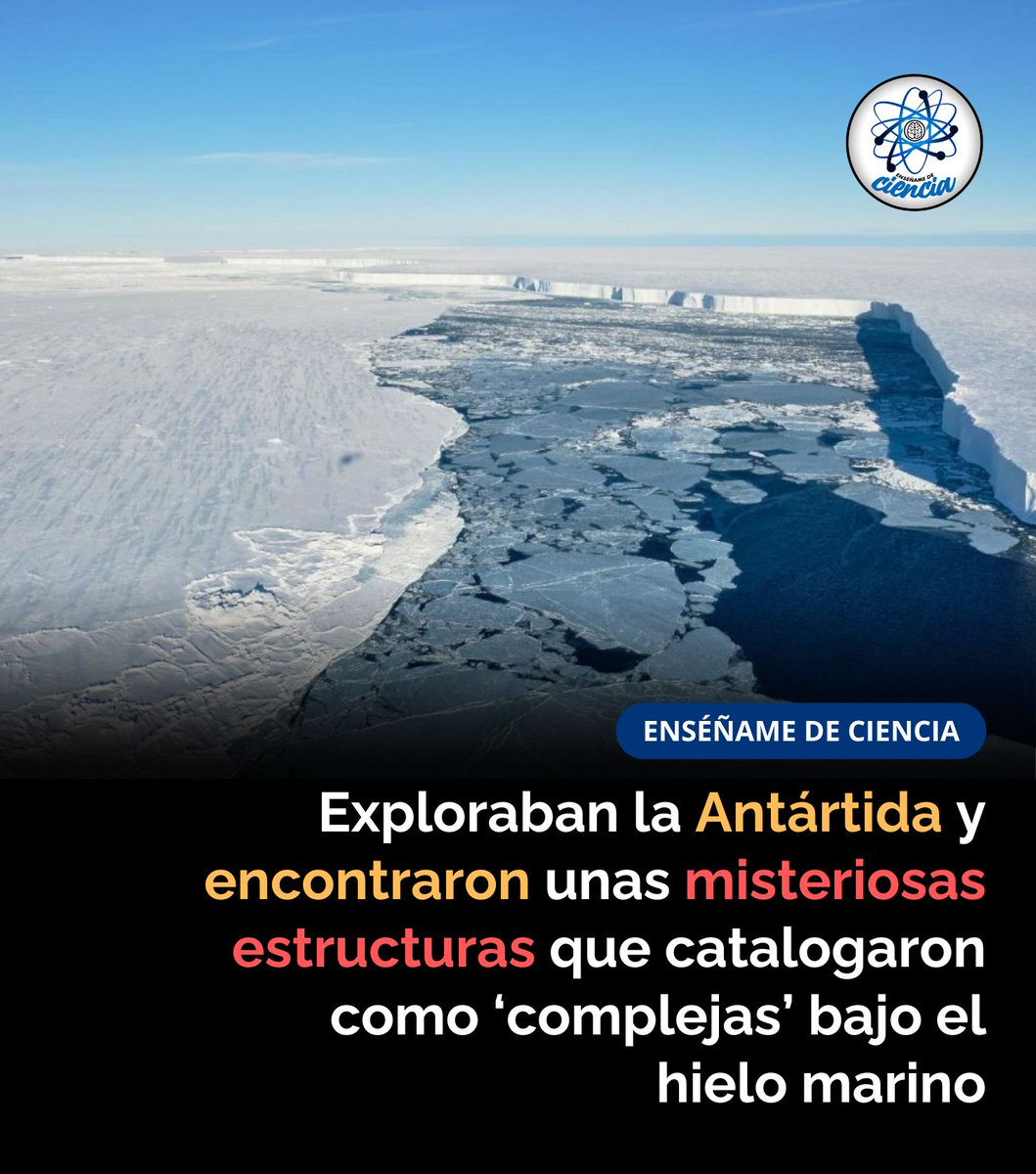 Siete extrañas especies de las profundidades del océano, image size:1059x1200