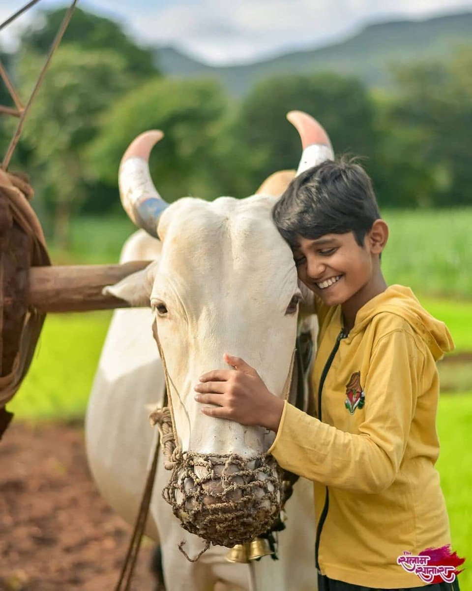 तुम्हारे कैमरे में रील ही न थी...
नादान हम थे कि मुस्कुराते ही रहे!!!