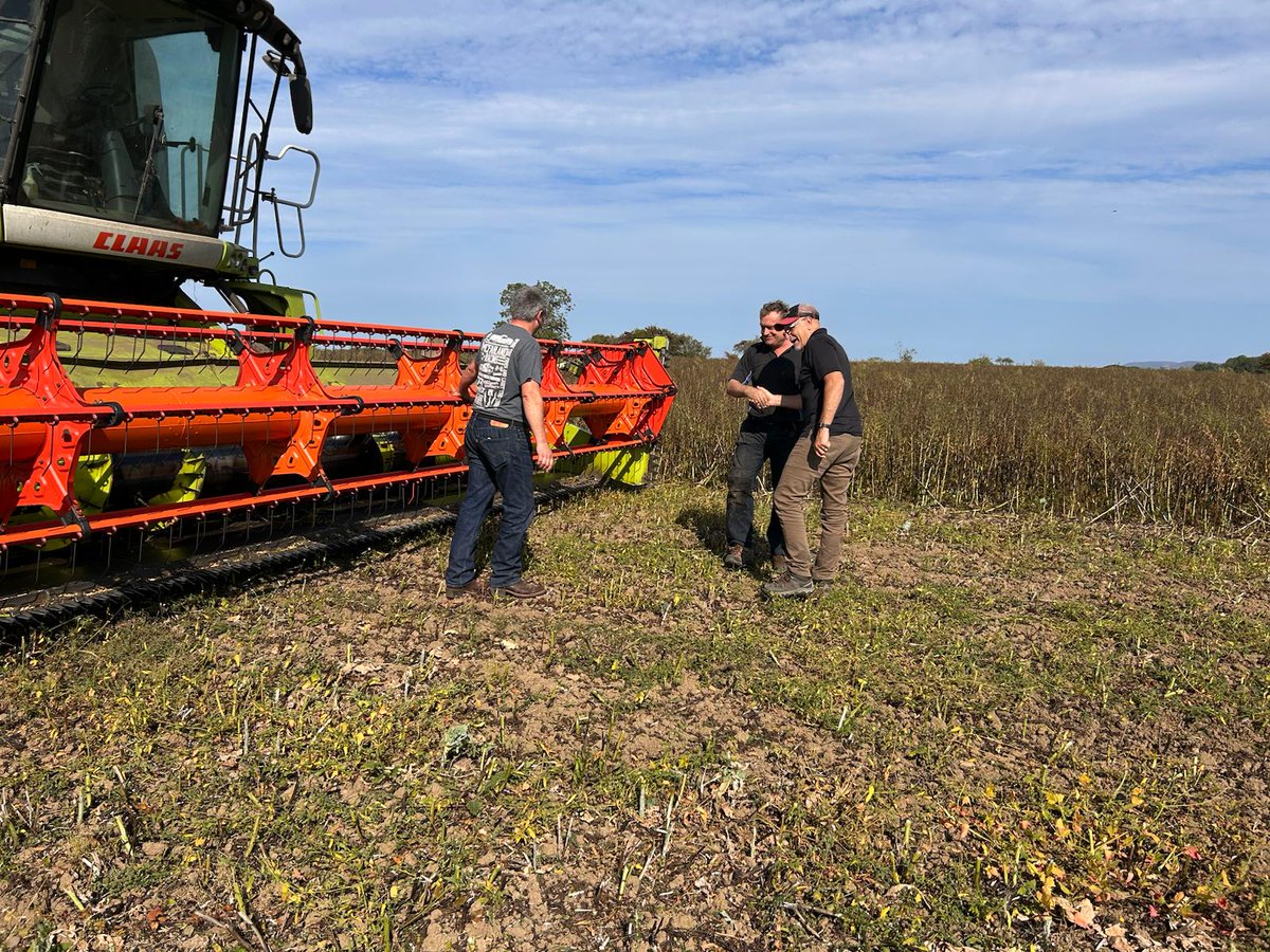 Terribly sorry Theodore old chap <a href="/formerTedHamer1/">The Original Ted Talker</a> 
Here are some photos for your delectation of <a href="/MarkAugustGuy/">No Blue CheckMARK</a>  and Linda looking at things in England yesterday.
More to follow after today's adventures!