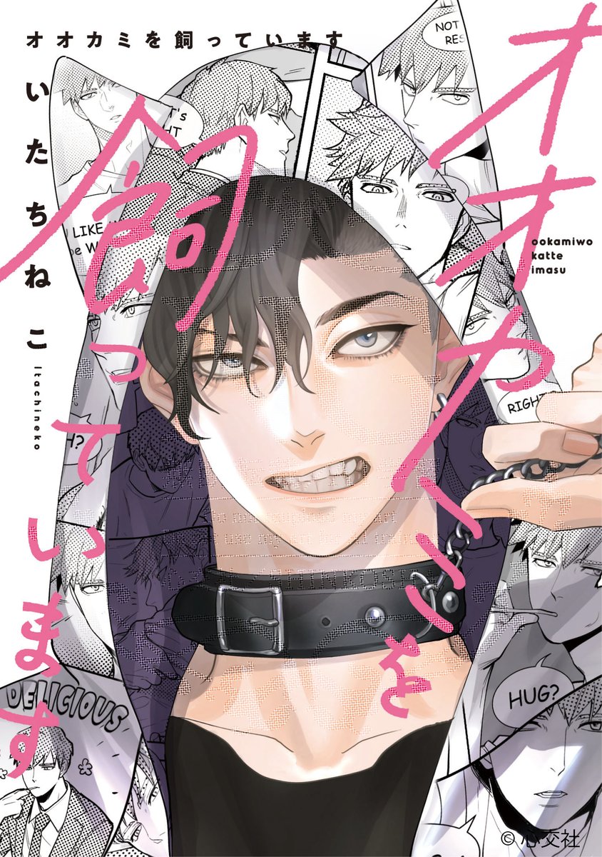 【ラティーファ】ゲベとその飼い主 いたちねこ (@neoitatineko) / X