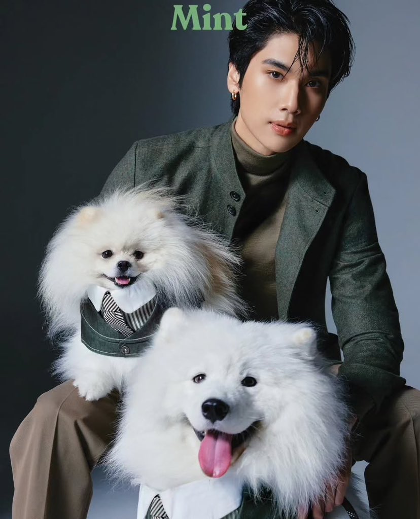 Dunk with his fluffy babies, Haruto and Moro 🐶✨

🌻#dunknatachai • <a href="/dunknatachai/">dunknatachai</a>🌻