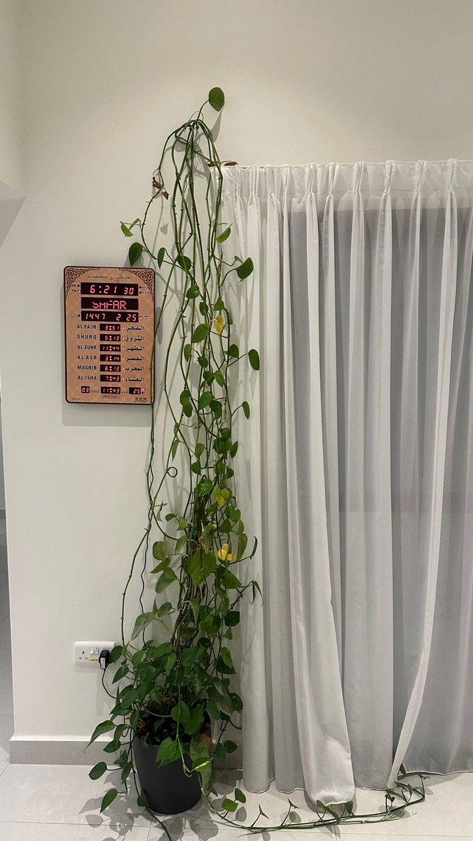 صارت اطول مننا 🥹