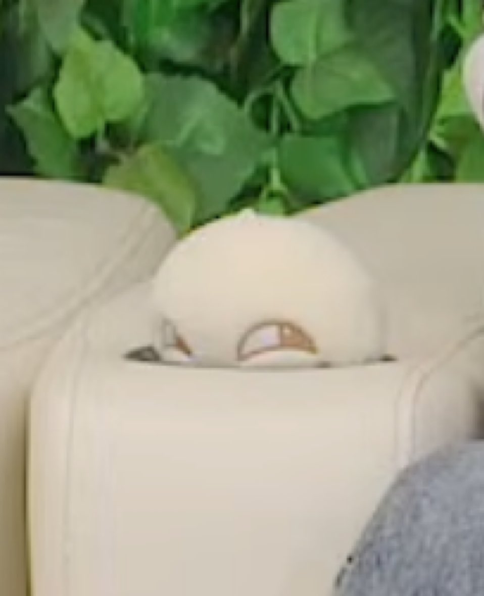 ละดูเฉินเล่อเอาเดเฮทไปวางในที่วางแก้วแล้วหลานโผล่ขึ้นมาแค่หัวกับตาดิ มีมมากก