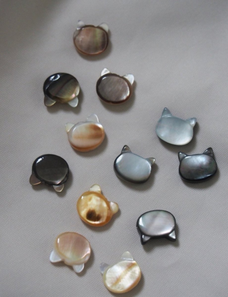 貝殻の問屋さん on X