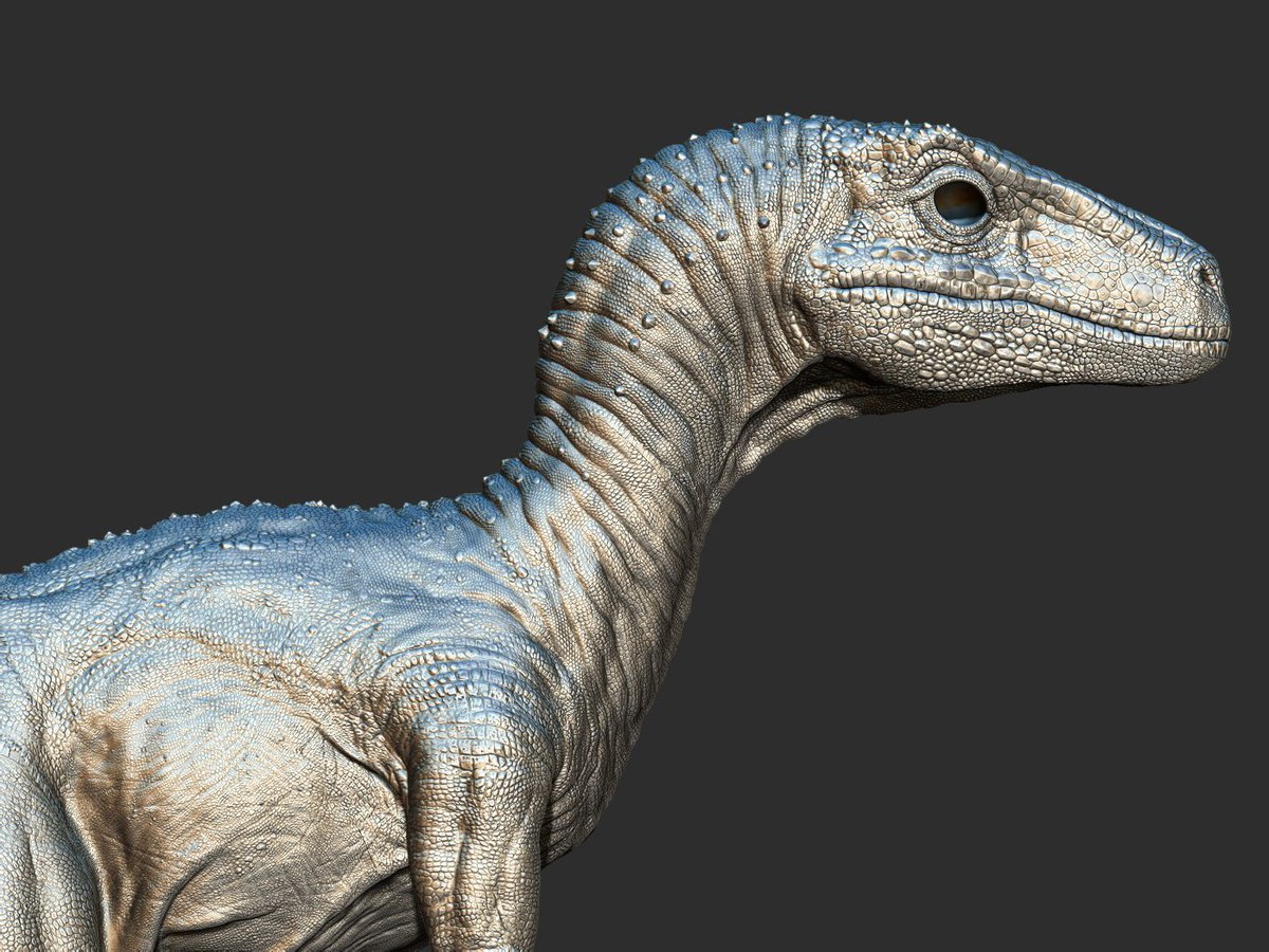 Kaiju | Also now in bsky, anotherkaiju.bsky.social (@anotherkaiju) on Twitter photo <a href="/TheRedRaptor65/">TheRedRaptor</a> <a href="/Riamus01/">RIAMUS (for commissions check pinned post)</a> The raptor squad were created from 3d scanning a JP velociraptor maquette, and yet it didn't stop ILM from going with a different hide texture for the JW velociraptors. <a href="/TheRedRaptor65/">TheRedRaptor</a> <a href="/Riamus01/">RIAMUS (for commissions check pinned post)</a> The raptor squad were created from 3d scanning a JP velociraptor maquette, and yet it didn't stop ILM from going with a different hide texture for the JW velociraptors.