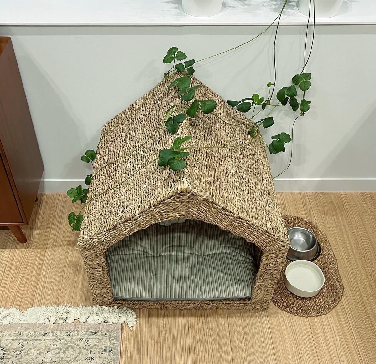 오늘 짚풀생활사박물관에서 강의 있어서 강의 전에 상설전 보았는데, 옛날에 쓰던 강아지 집 전시된 거 보고 우리 개 집이랑 크게 다르지 않단 생각했다.