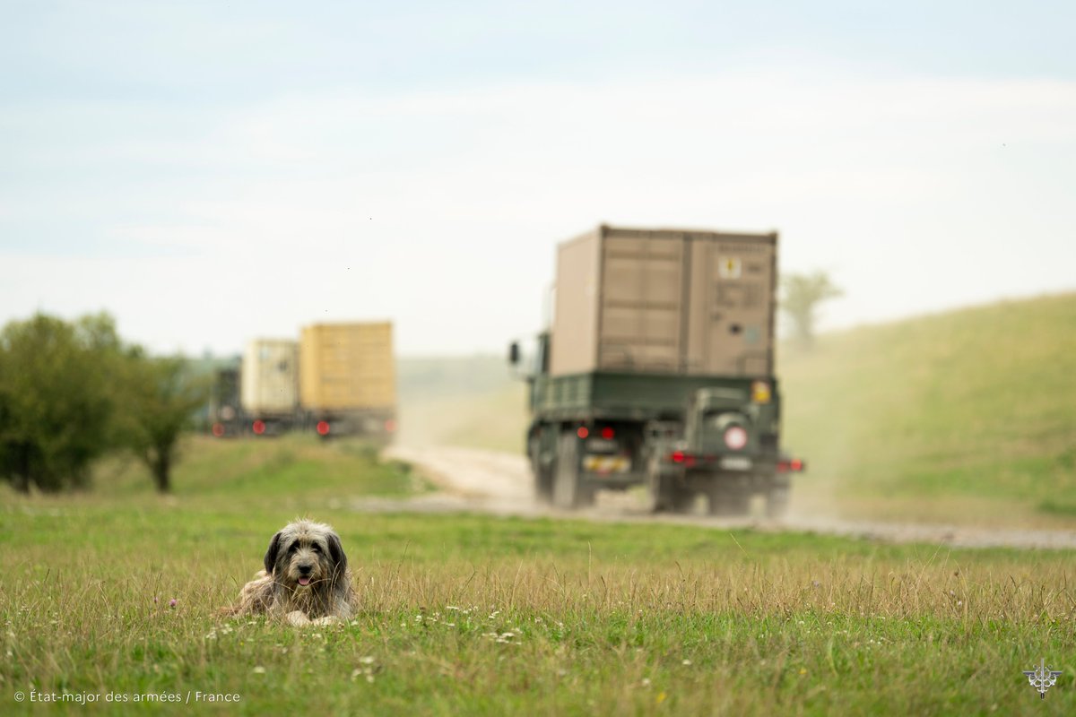 NATOBGRomania's tweet image. #WeAreReady The Romanian 🇷🇴countryside has become accustomed to seeing convoys from NATO's Multinational Battle Group pass by, whose troops move around and train daily in order to be ready to protect Europe's eastern flank #MissionFirst #WeAreNato