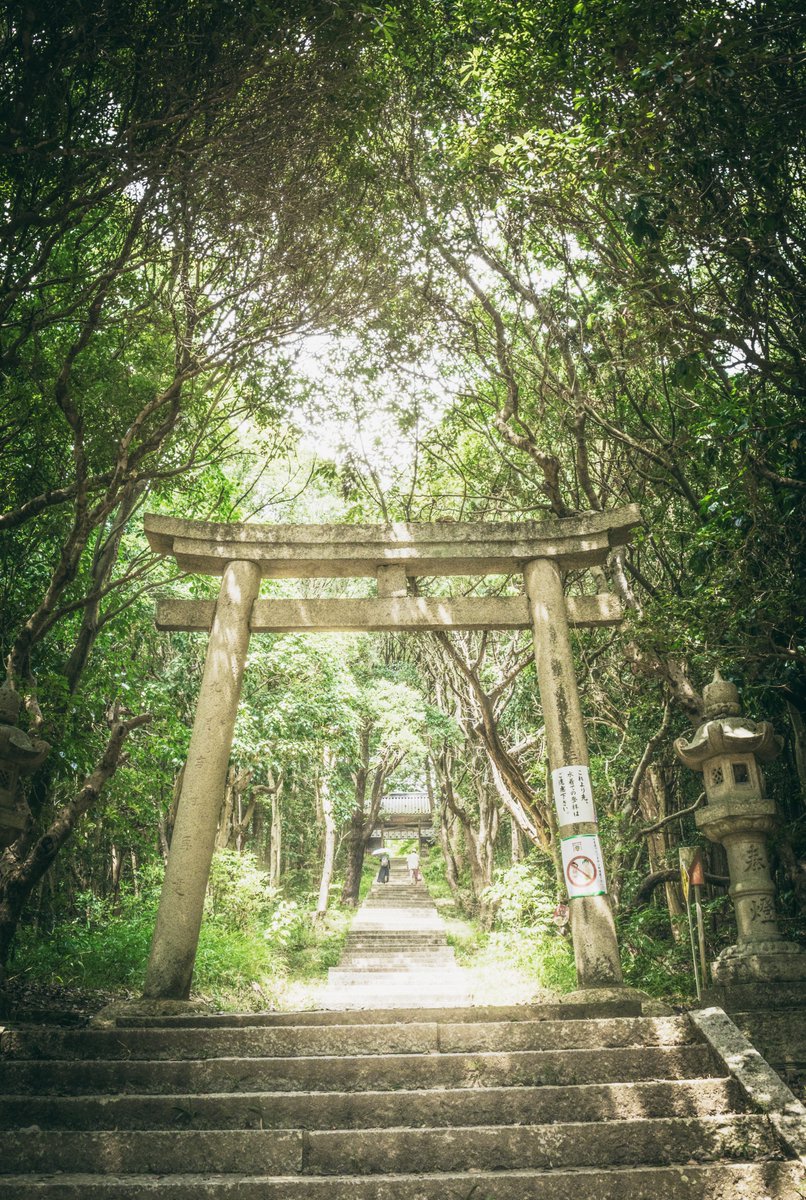 カメラと訪う夏祓い