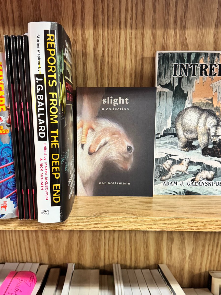 Nat Holtzmann tweet media