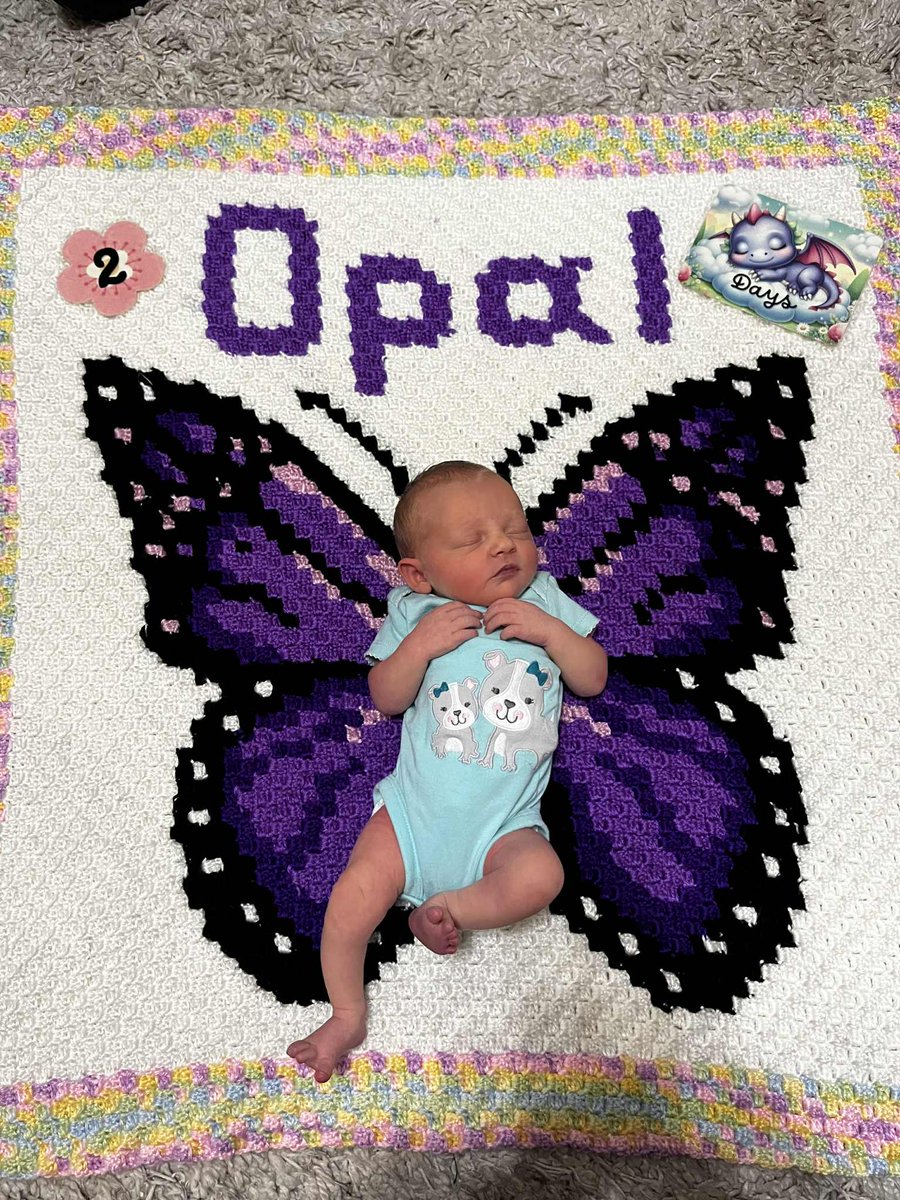 Dream_Creatures's tweet photo. Welcome to the world Opal! My sweet little fox-dragon girl was born on August 21st, we're both doing well and I'm recovering, work will still be slow and I appreciate your patience ❤️

My mom made the blanket for her! 🦋 https://t.co/8ADnK83fp8