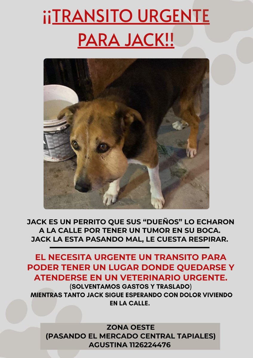 patripeyrou's tweet photo. Difundimos https://t.co/AscsFuEpnZ