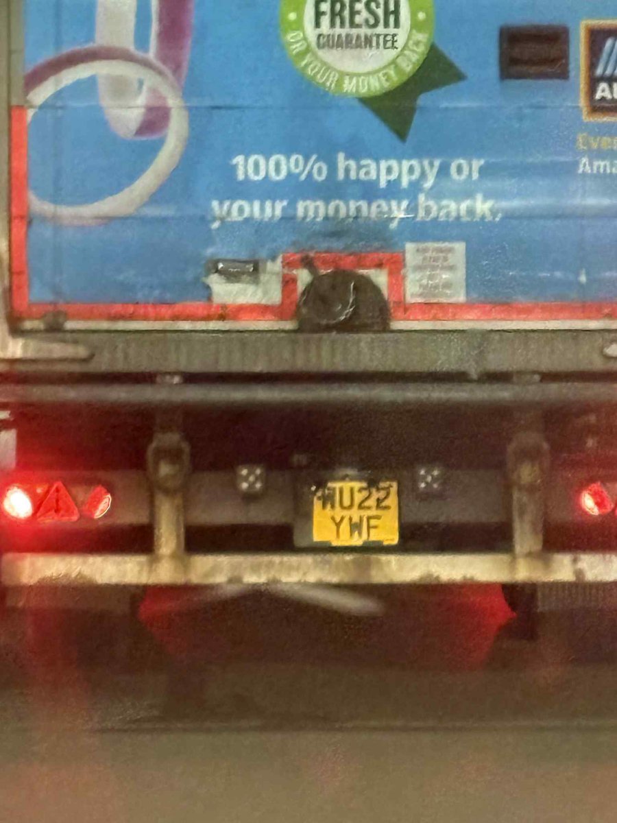 John Edwards tweet media