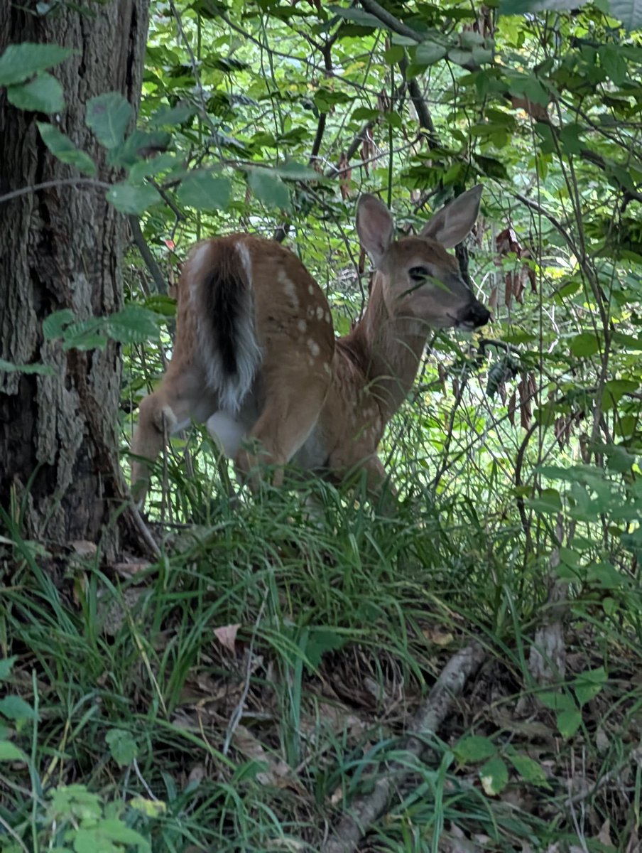 On an evening stroll...