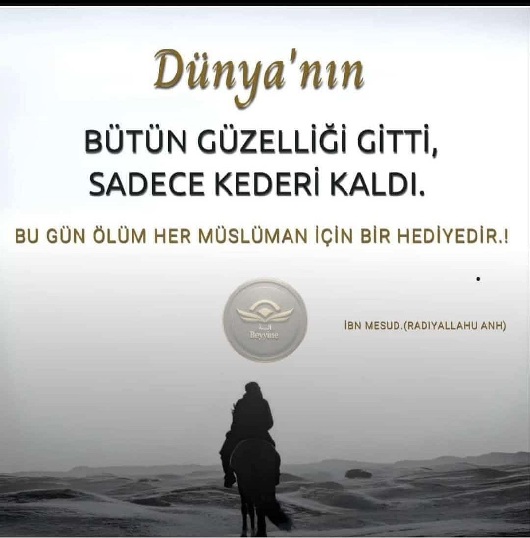 Nigger (@nigger_34) on Twitter photo 