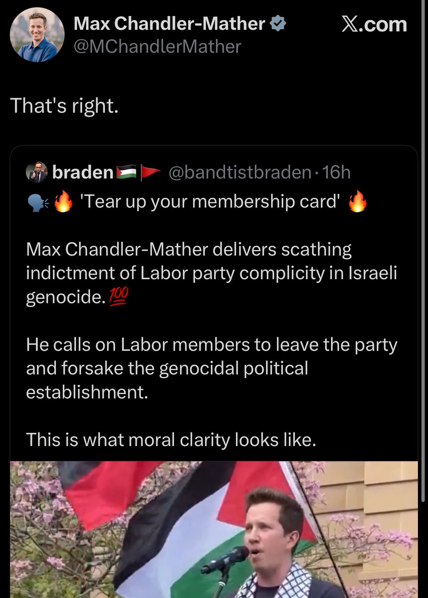 shadow leader of the australian greens