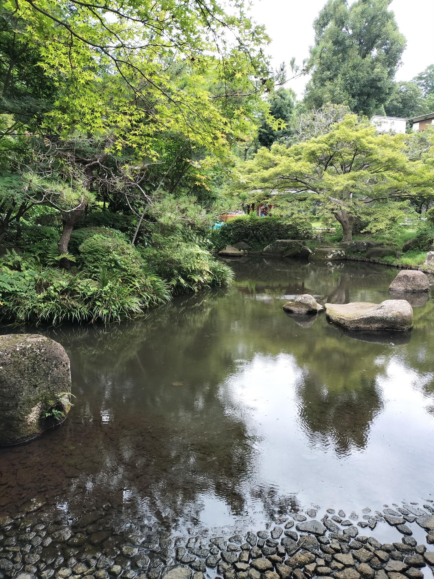 ネルノダイスキ いえめぐり 特典 チラシ 芹ヶ谷公園パークミュージアム カード 芹ヶ谷公園パークミュージアム（町田市公式） (@serigaya_p_m) / X