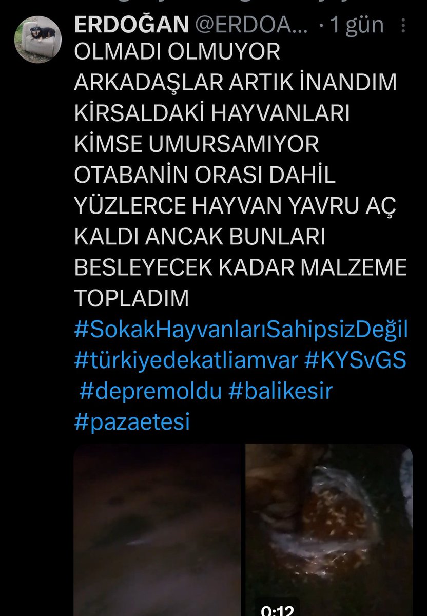 bu sürekli anasayfada ağlayıp duruyor annesi kimse gelsin alsın kafamız şişti