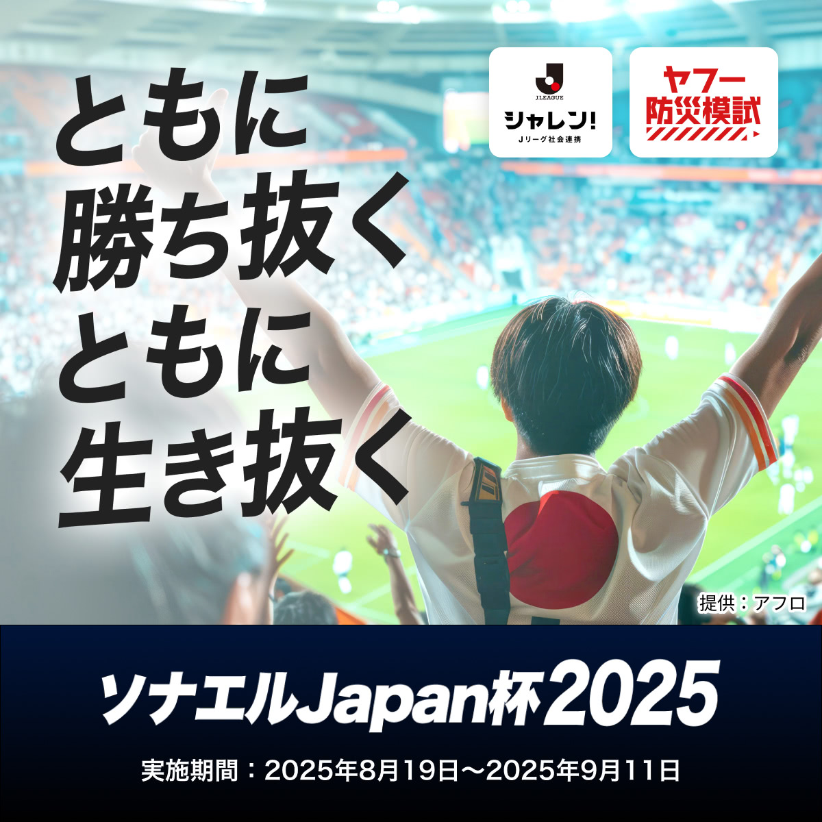 ロアッソ熊本(official) tweet media