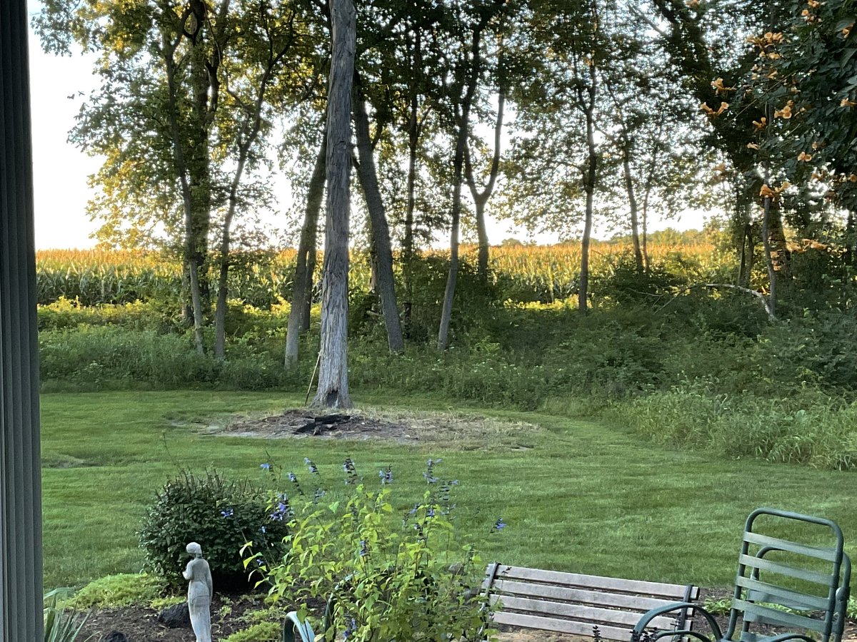My back porch is awesome!