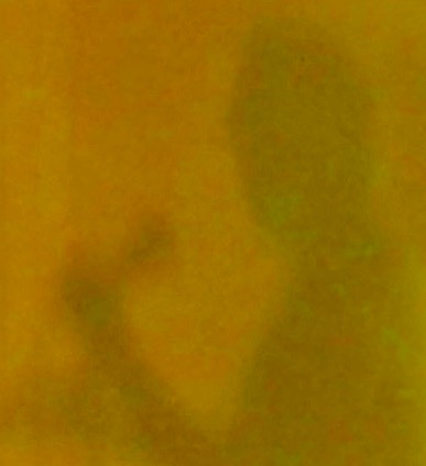 The shape of things to come? Stay tuned!