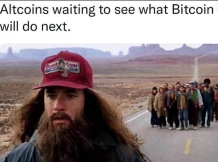 Bitbooz Crypto (@bitbooz) on Twitter photo 