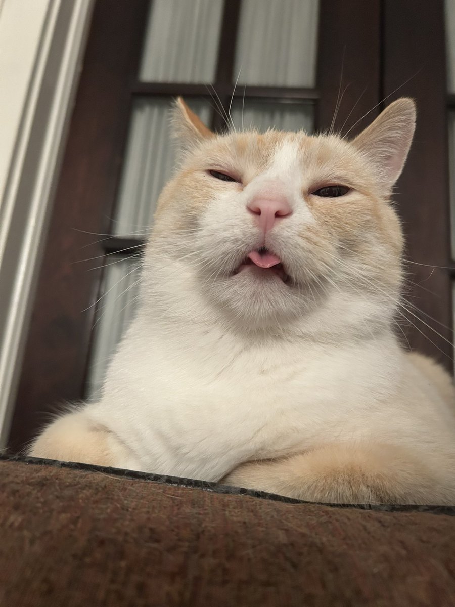 Jasper my beloved