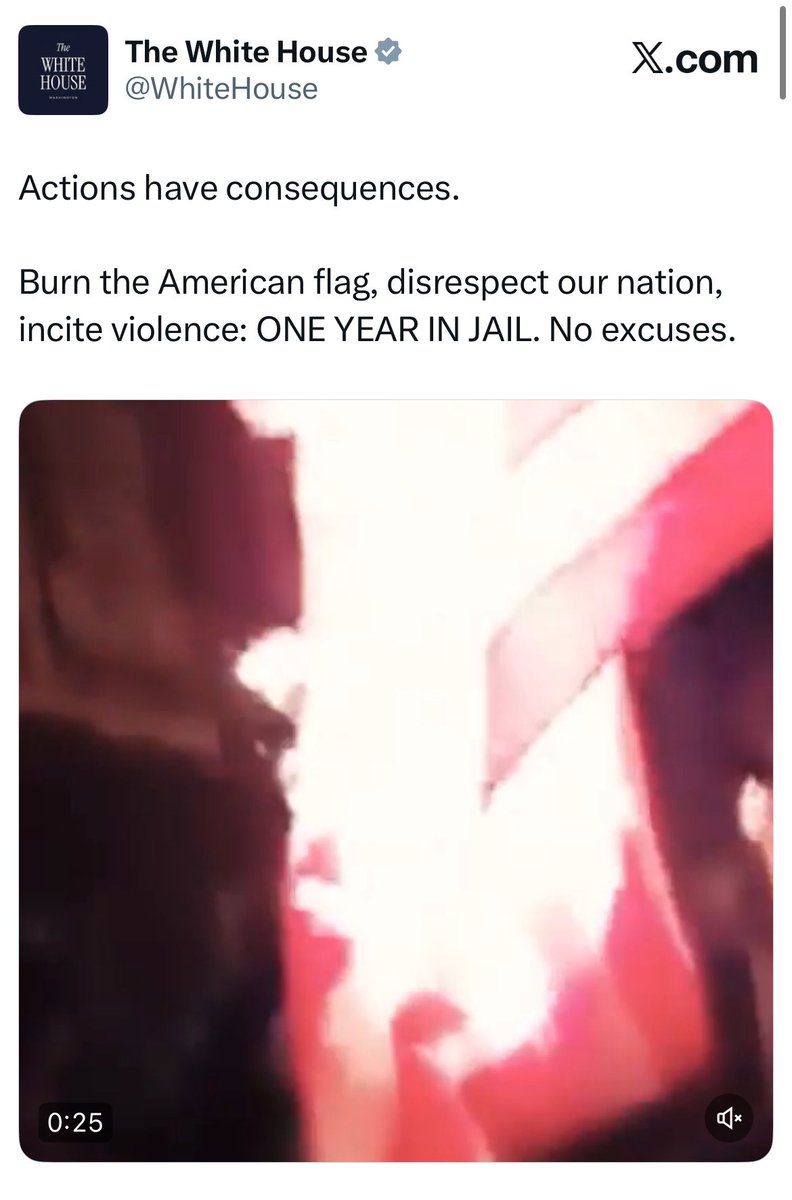 My reaction was not towards this announcement itself, which included the clause “unrelated to expression,” but from a nation’s  foreign policy being one that funds and tolerates this on the same day.