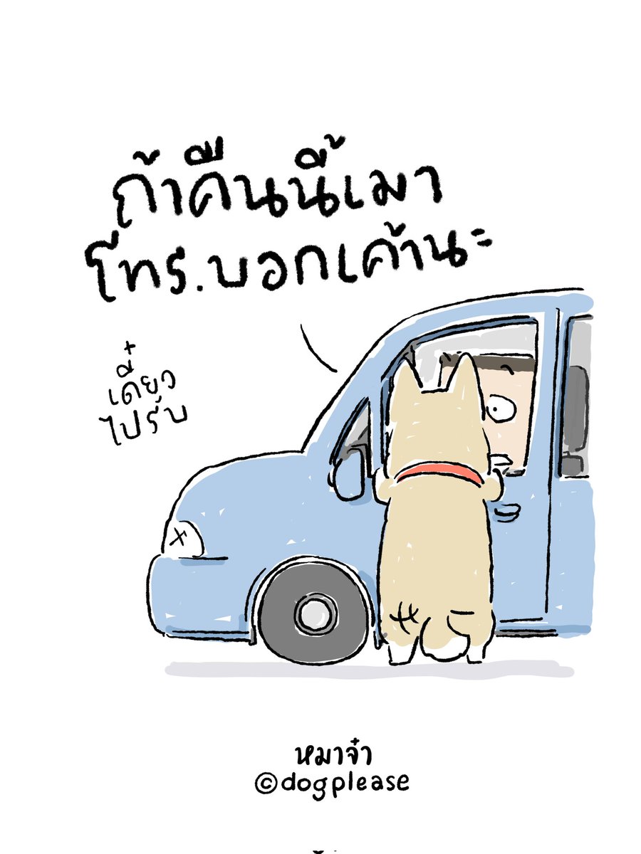 หมาจ๋า (@dogplease2013) on Twitter photo 