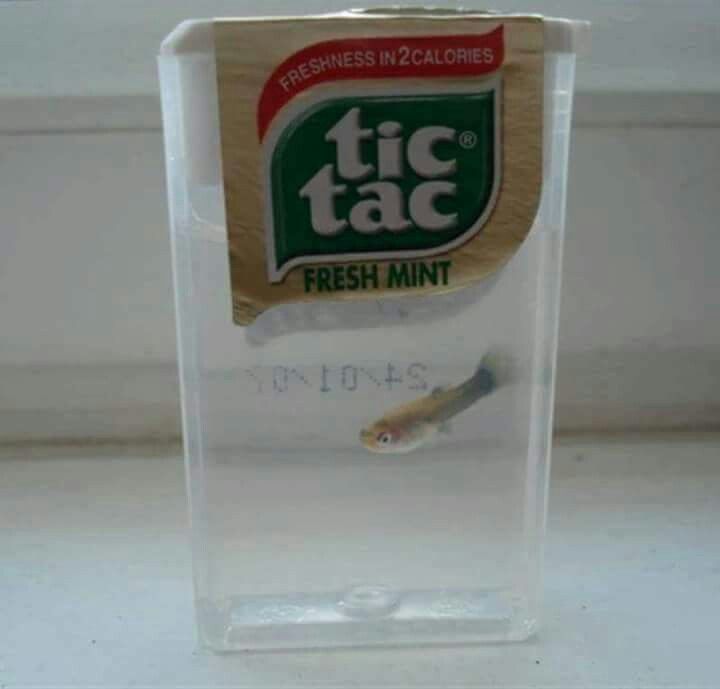 web.jpg (@webjpg) on Twitter photo 