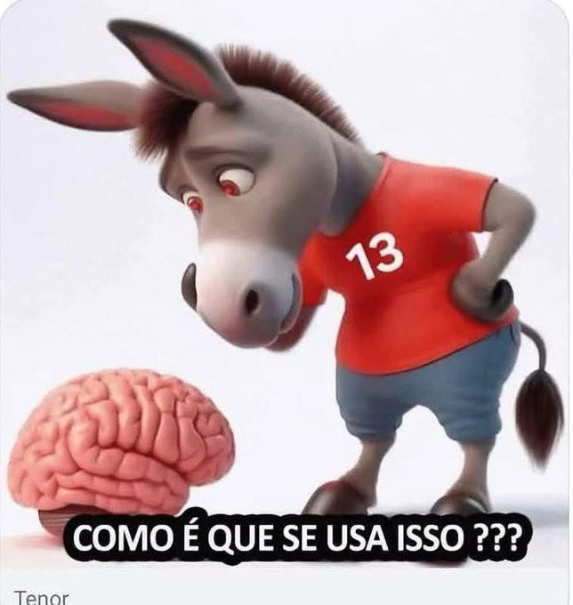 rubensragazzi's tweet photo. @PedroRonchi2 " Janja ajudando o Lula a melhorar o país" PQP
E AINDA TEM IDIOTA UTIL QUE ACREDITA NISSO https://t.co/d73lRW1B6k