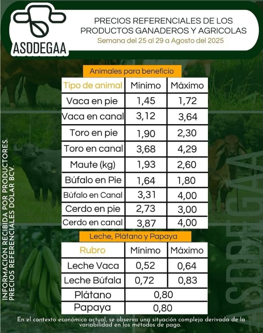 campocafeciudad's tweet photo. PRECIOS REFERENCIALES DE LOS PRODUCTOS GANADEROS Y AGRÍCOLAS EN EL VIGÍA

Fuente: Asociación de Ganaderos y Agricultores Alberto  Adriani  (ASODEGAA), Estado #Mérida. Instagram @asodegaa

Semana del 25 al 29 de agosto de 2025

#Venezuela #Ganadería #AgroEconomía #CampoCafeCiudad https://t.co/sg3PCdOjWU