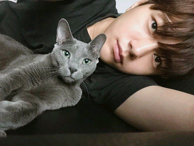 Melody_INTL's tweet photo. @npomvtt Byul que é dona do L do infinite e já tem 8 aninhos de idade! https://t.co/4TGyHizA3T