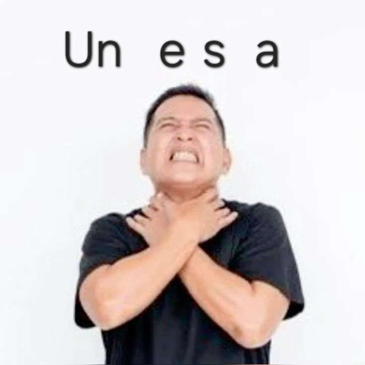 sia :O tweet media