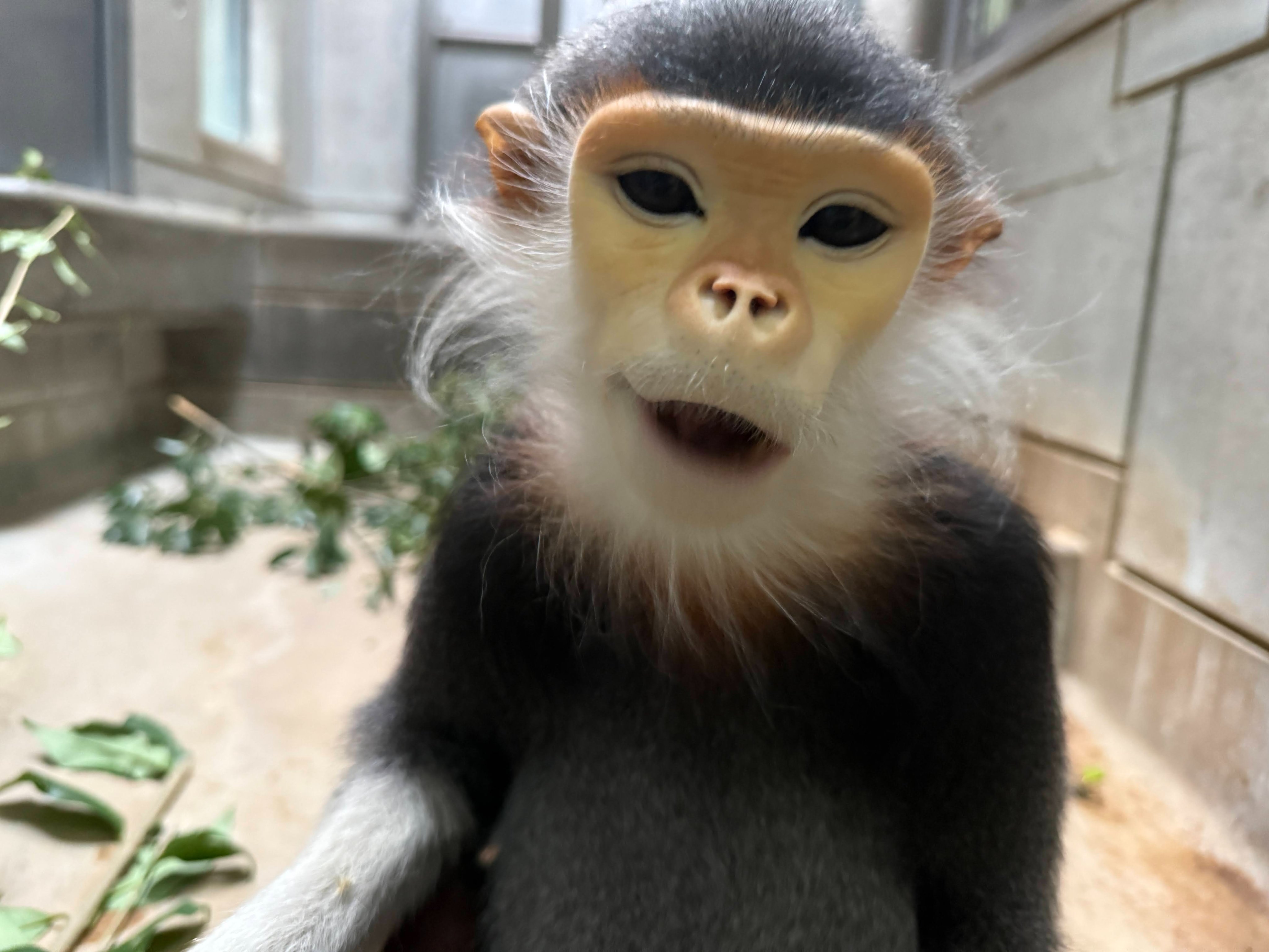 2016. ゆきそらページ キキ (@sora2999) / X