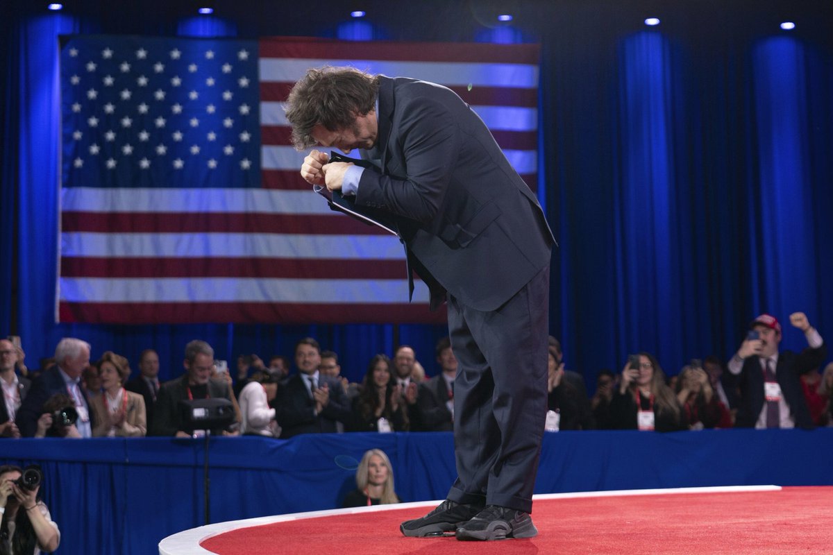 El pingüino // el león