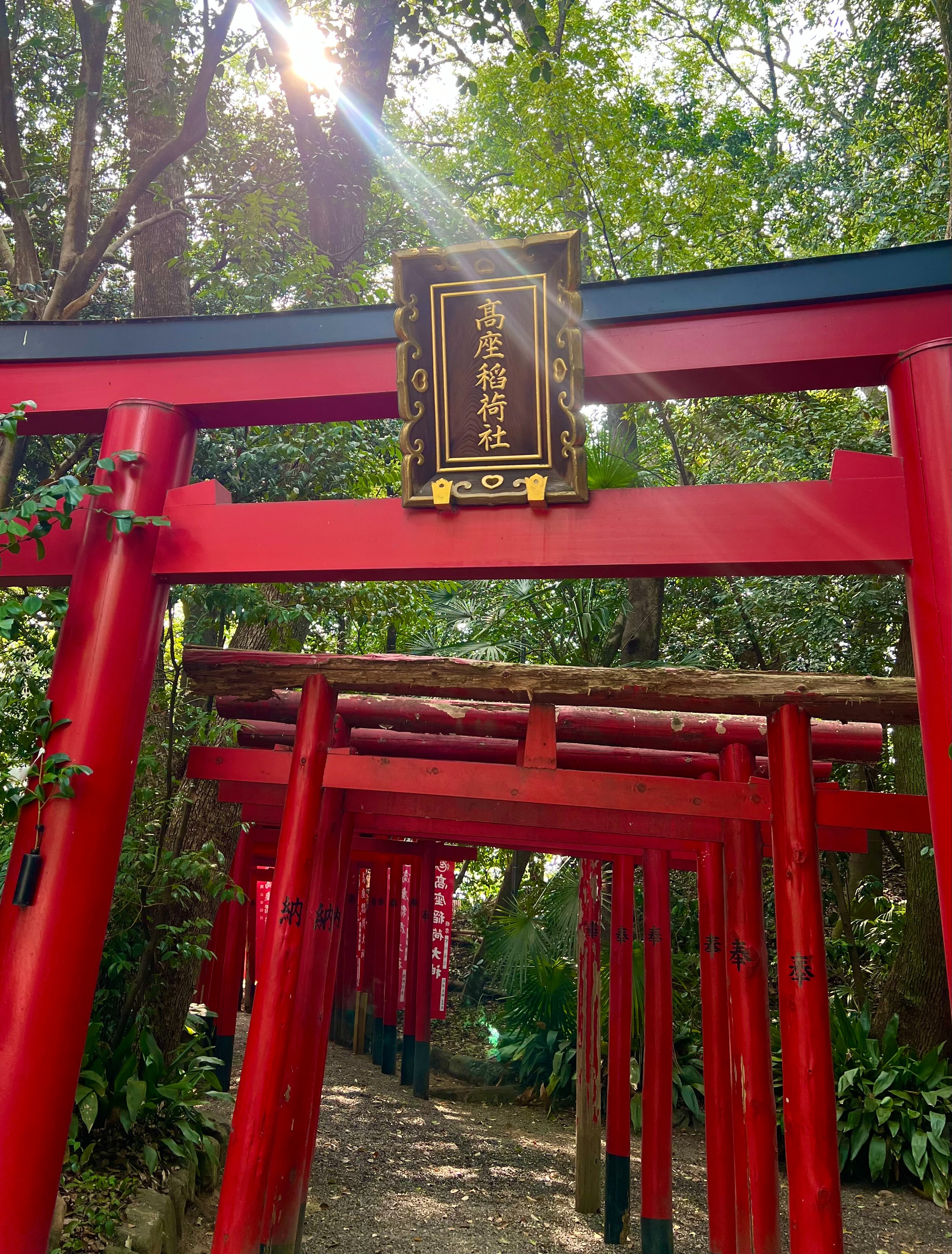 A3版『神々の集い』大きく翼を広げた鳳凰様に尾羽ねが「 龍神様 お稲荷様」 』 開運祈願に！日本最古級の龍神様を！- 荒波々幾龍神 ≫金吾龍