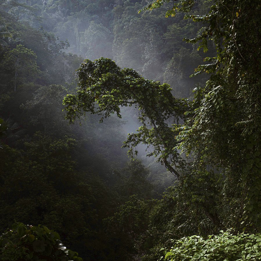 © 2025
➤ Jurasik - Jurang Asik (Ubud, Bali)