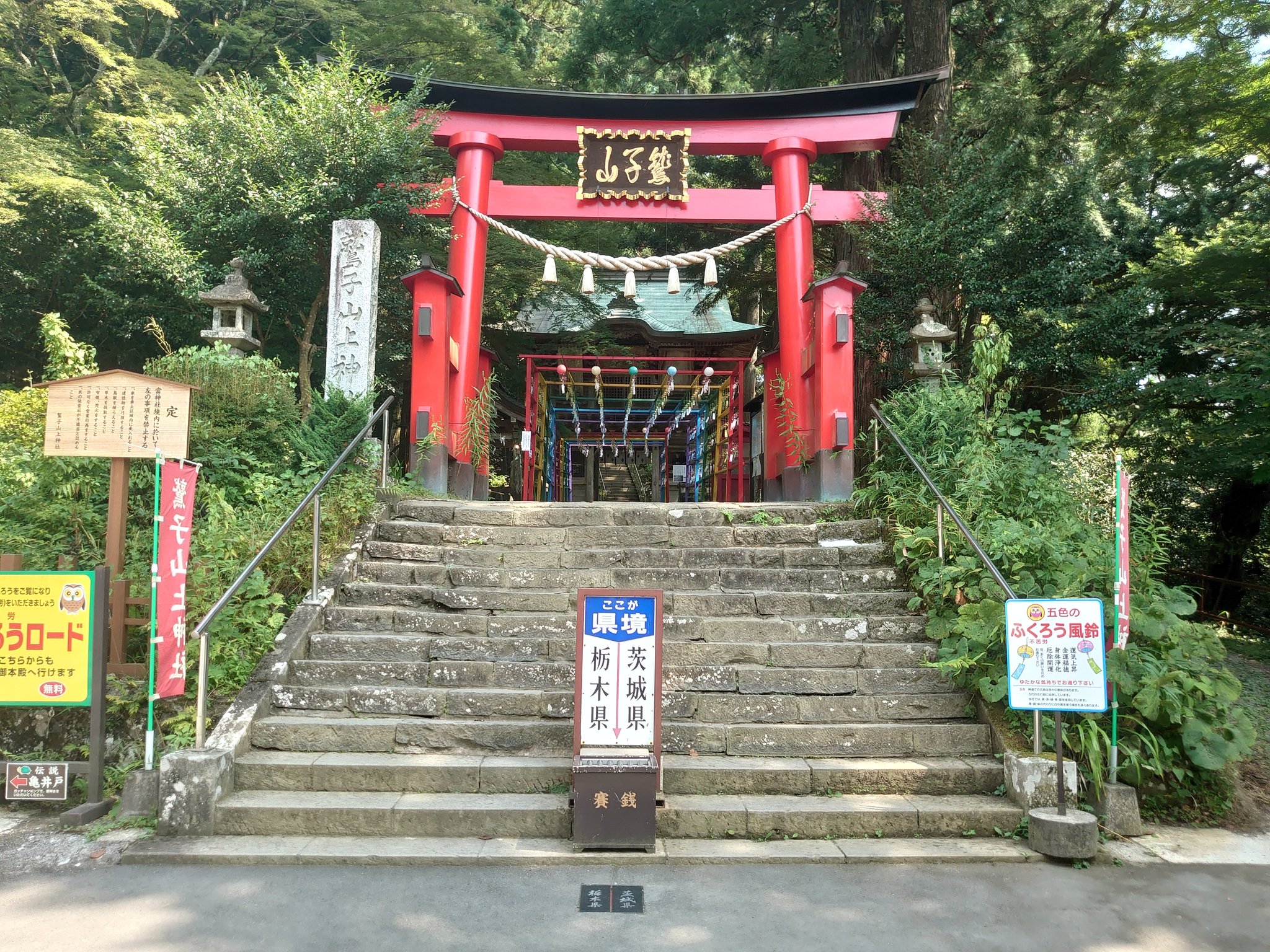 ふくろう神社！ フクロウ案内 | 鷲子山上神社