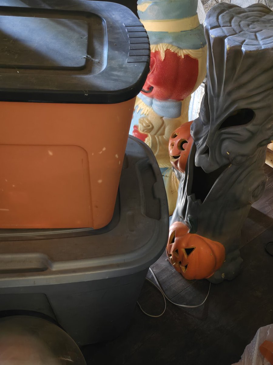 Alles aka Quinn π€ (@quinn_morgue) on Twitter photo I don't know where to begin. π΅βπ« I don't know where to begin. π΅βπ«