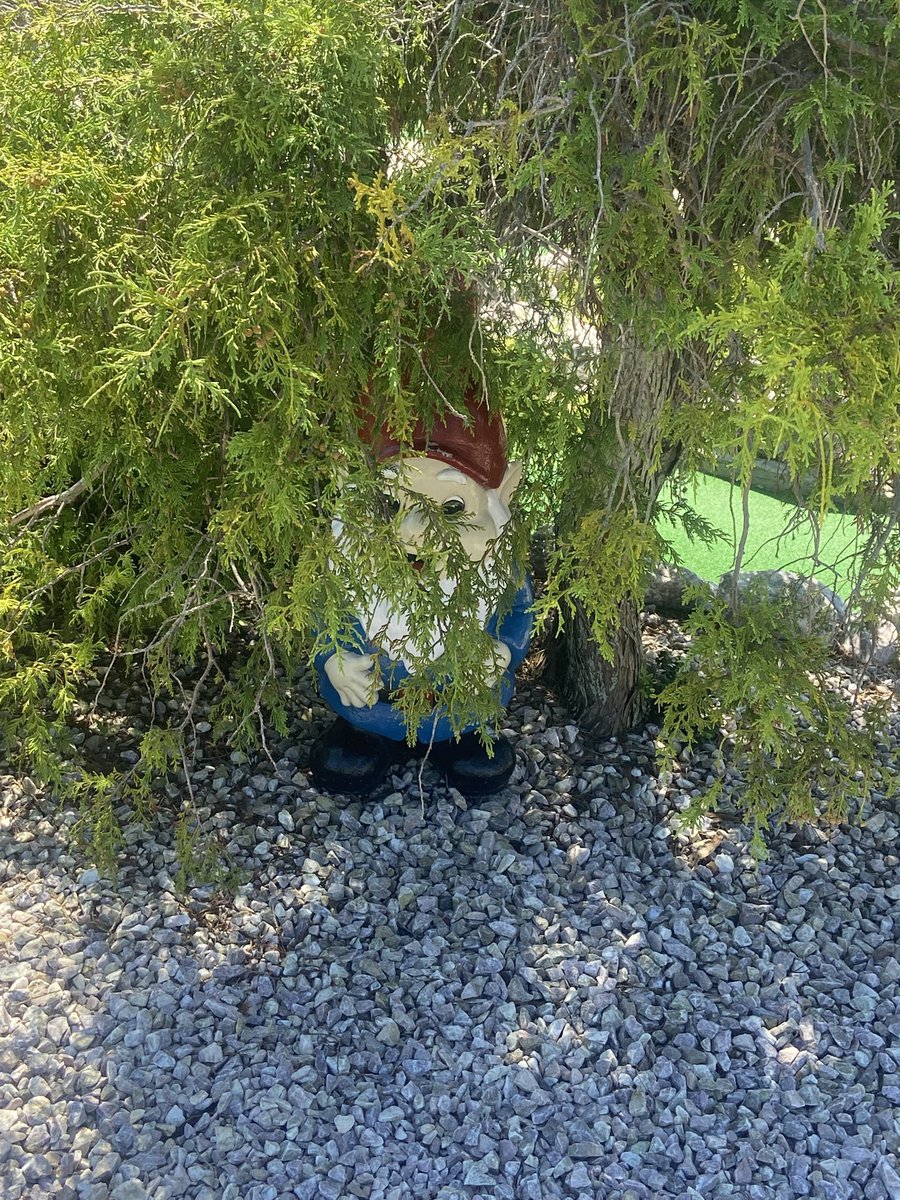 Always watching