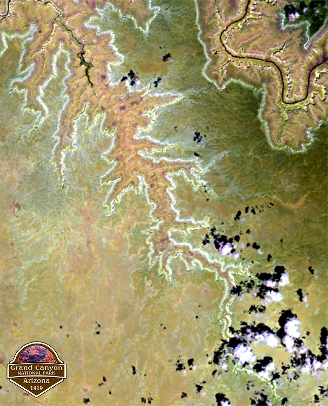 OfficialSeerAI's tweet photo. Happy Birthday to @NatlParkService 🎂

From Yellowstone to Zion - each park seen through the lens of satellites 🌍

#RemoteSensing #GIS #EarthObservation #nationalparks

(cc: @USGS, @Interior, @NatlParkService) https://t.co/YXszjvKQ5p