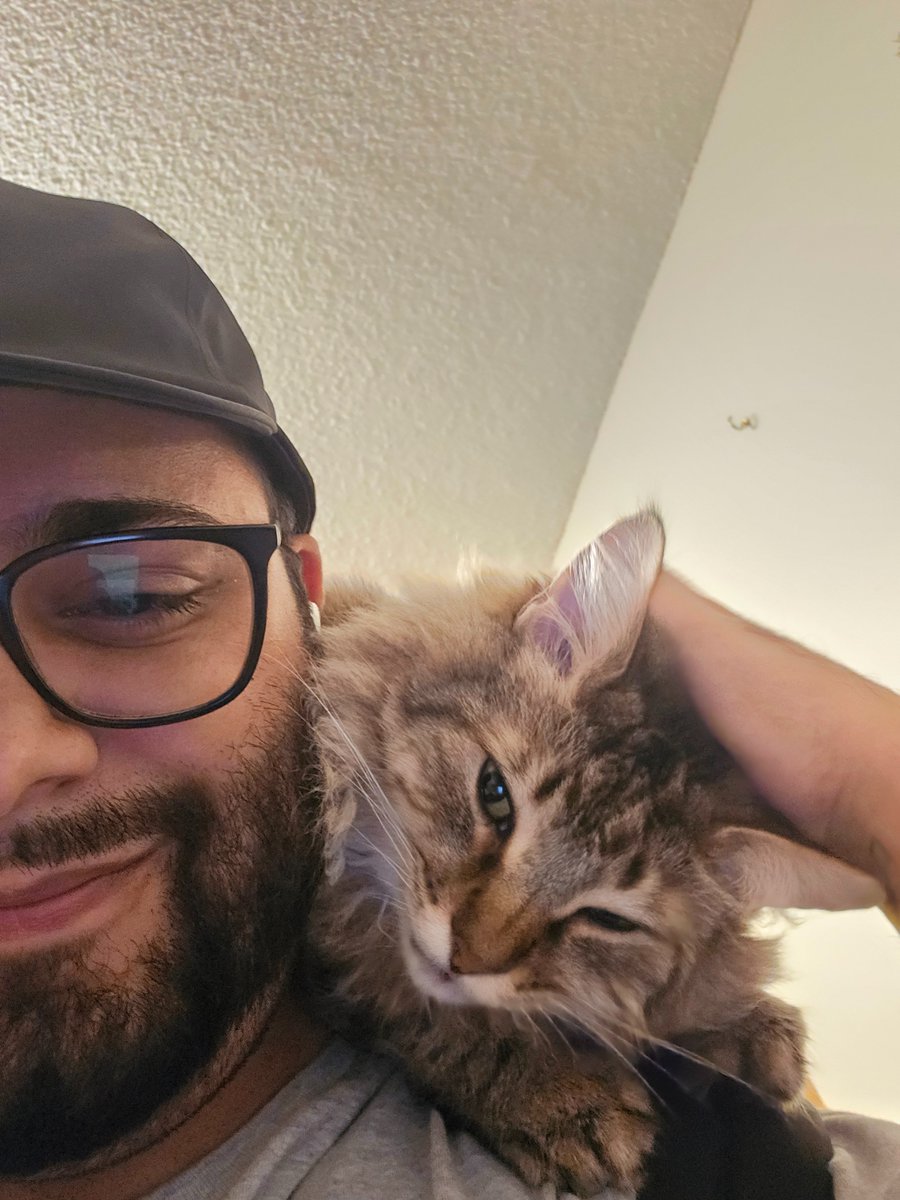 KaizoFaizo's tweet photo. He was meowing at me frame 1 when I walked through the door and immediately climbed me. He was sitting on my shoulders before I could even get my backpack off. He has yet to leave my side since I got home https://t.co/8qTeWcXyyQ