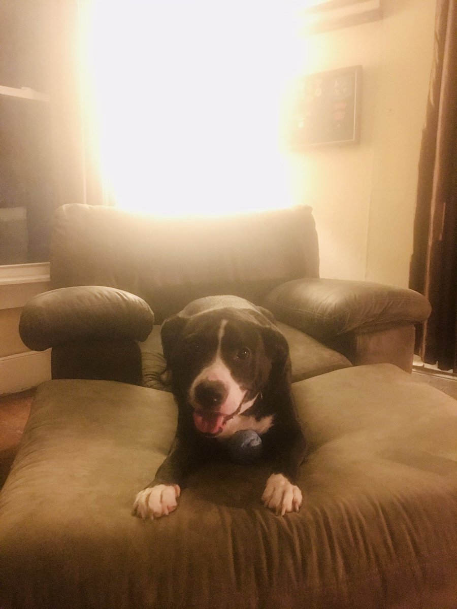 woodall576's tweet image. Couple nights in Cleveland &amp;amp; a pit stop in Youngstown … Picked up the best of good boys today … Colonel of the 1%ers. 
#GypsyLivin #Jocko