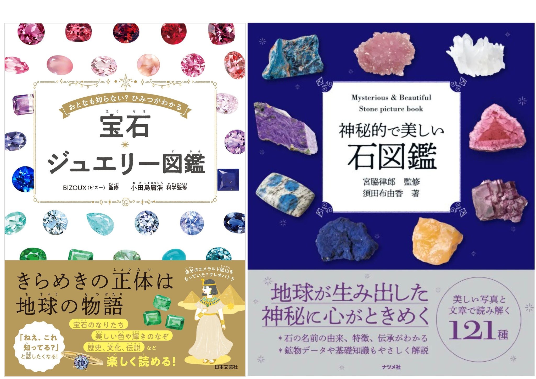 宝石の睡蓮　日本語版　1枚 ほんのひきだし on X: 