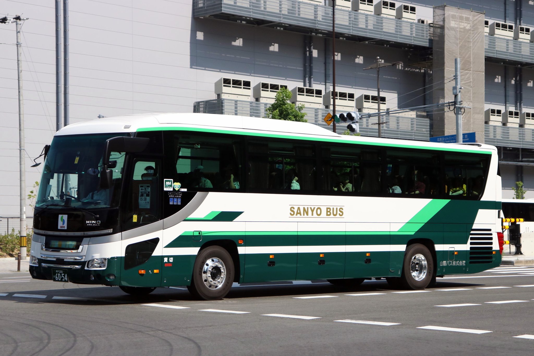 アセロラパス8 海外版 VARIVAS 【メール便対応】モーリス アバニ エギングマックス